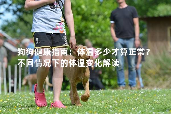 狗狗健康指南：体温多少才算正常？不同情况下的体温变化解读