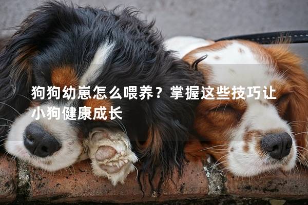狗狗幼崽怎么喂养？掌握这些技巧让小狗健康成长