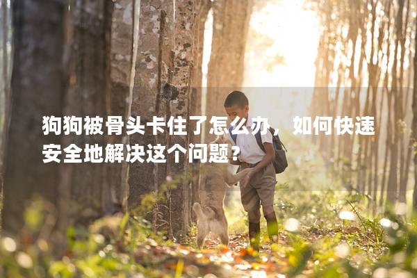 狗狗被骨头卡住了怎么办，如何快速安全地解决这个问题？