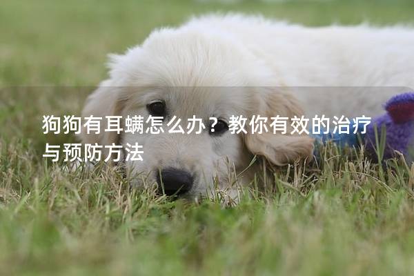 狗狗有耳螨怎么办？教你有效的治疗与预防方法