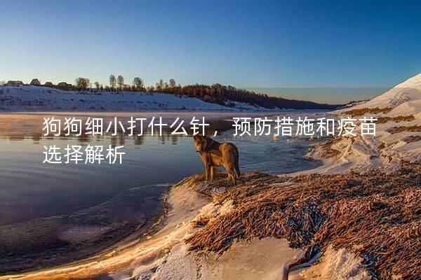 狗狗细小打什么针，预防措施和疫苗选择解析