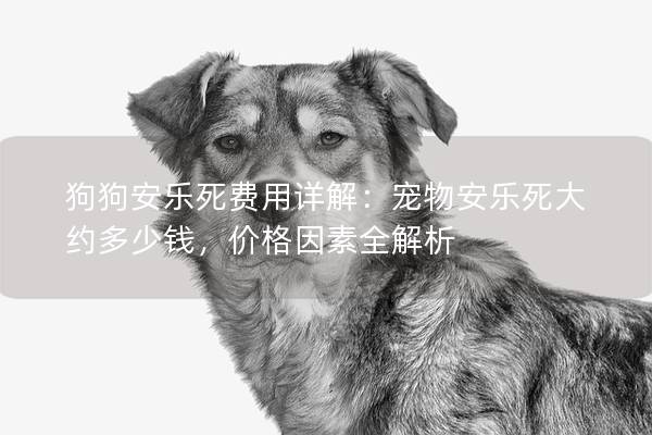 狗狗安乐死费用详解：宠物安乐死大约多少钱，价格因素全解析