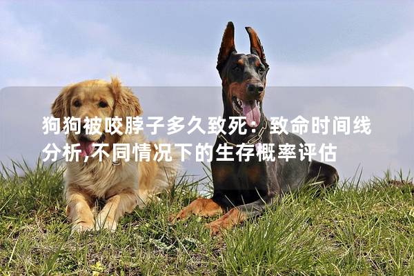 狗狗被咬脖子多久致死：致命时间线分析,不同情况下的生存概率评估