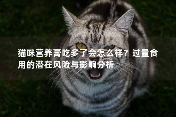 猫咪营养膏吃多了会怎么样？过量食用的潜在风险与影响分析