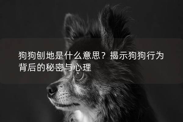 狗狗刨地是什么意思？揭示狗狗行为背后的秘密与心理