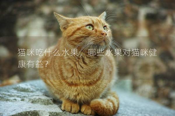 猫咪吃什么水果，哪些水果对猫咪健康有益？
