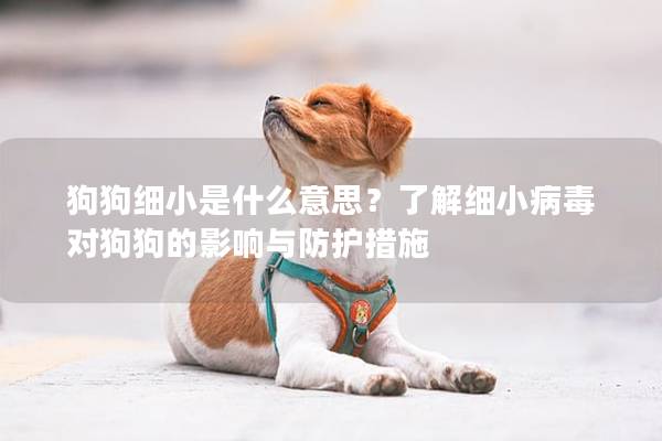狗狗细小是什么意思？了解细小病毒对狗狗的影响与防护措施