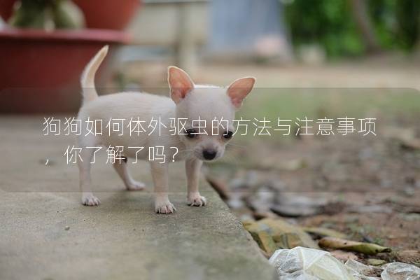 狗狗如何体外驱虫的方法与注意事项，你了解了吗？