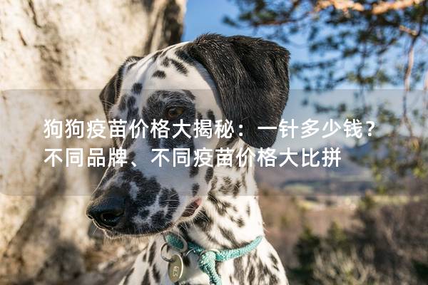 狗狗疫苗价格大揭秘：一针多少钱？不同品牌、不同疫苗价格大比拼