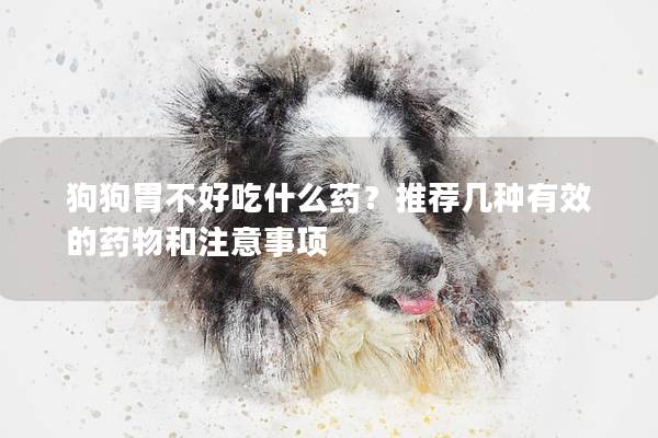 狗狗胃不好吃什么药？推荐几种有效的药物和注意事项