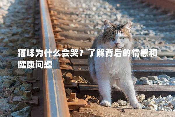 猫咪为什么会哭？了解背后的情感和健康问题