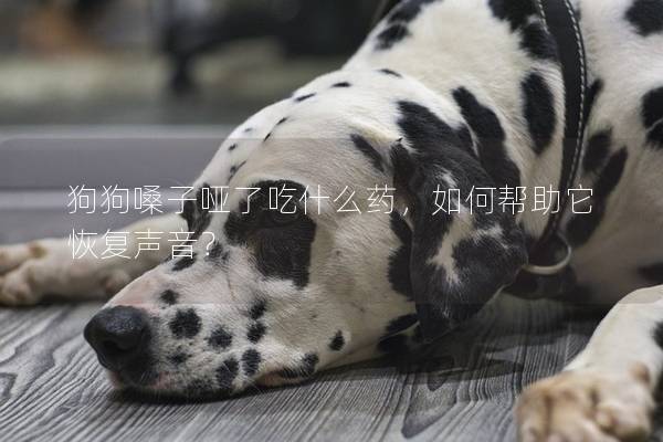 狗狗嗓子哑了吃什么药，如何帮助它恢复声音？