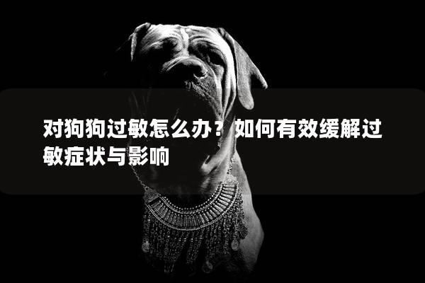 对狗狗过敏怎么办？如何有效缓解过敏症状与影响