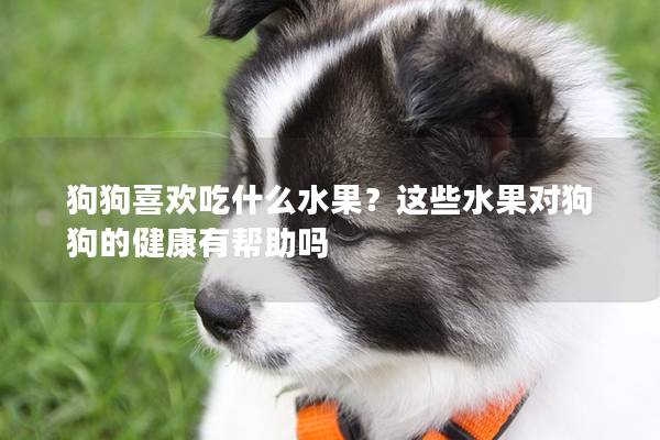 狗狗喜欢吃什么水果？这些水果对狗狗的健康有帮助吗