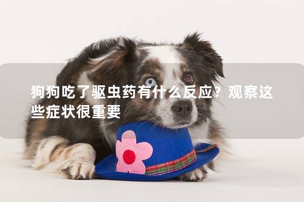 狗狗吃了驱虫药有什么反应？观察这些症状很重要