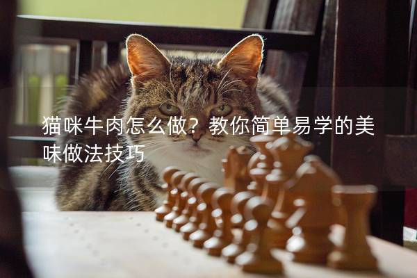 猫咪牛肉怎么做？教你简单易学的美味做法技巧