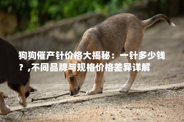 狗狗催产针价格大揭秘：一针多少钱？,不同品牌与规格价格差异详解