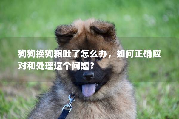 狗狗换狗粮吐了怎么办，如何正确应对和处理这个问题？