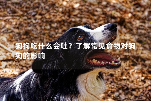 狗狗吃什么会吐？了解常见食物对狗狗的影响