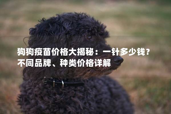 狗狗疫苗价格大揭秘：一针多少钱？不同品牌、种类价格详解