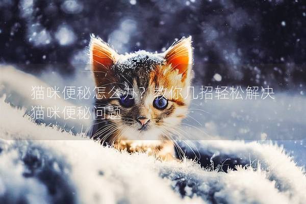 猫咪便秘怎么办？教你几招轻松解决猫咪便秘问题