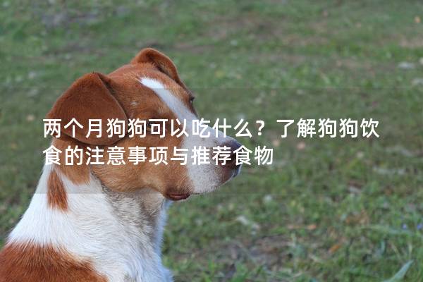 两个月狗狗可以吃什么？了解狗狗饮食的注意事项与推荐食物