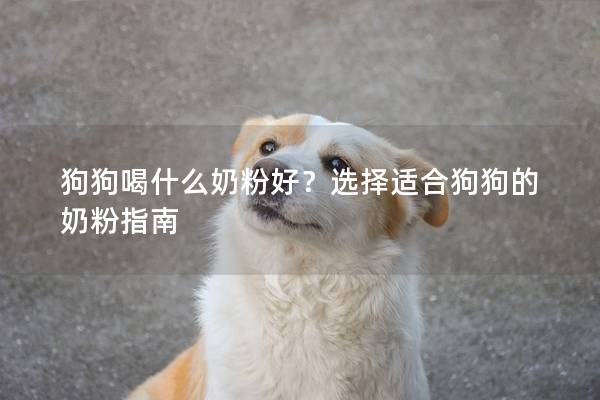 狗狗喝什么奶粉好？选择适合狗狗的奶粉指南