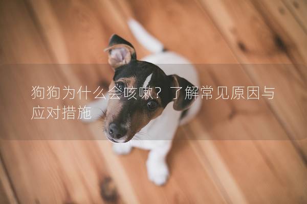 狗狗为什么会咳嗽？了解常见原因与应对措施
