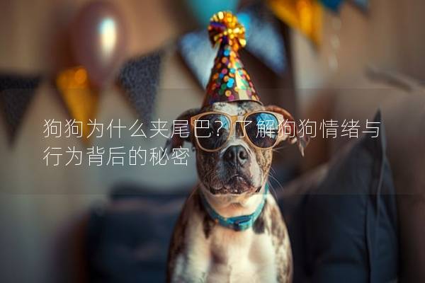 狗狗为什么夹尾巴？了解狗狗情绪与行为背后的秘密
