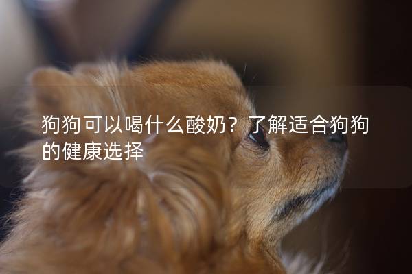 狗狗可以喝什么酸奶？了解适合狗狗的健康选择