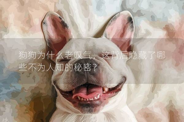 狗狗为什么老叹气，这背后隐藏了哪些不为人知的秘密？