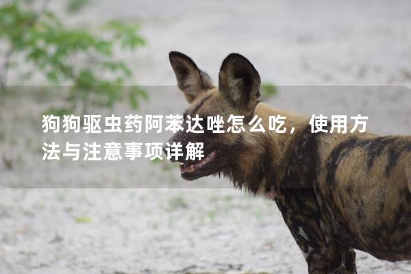狗<a href=