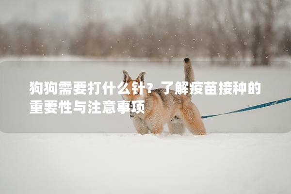 狗狗需要打什么针？了解疫苗接种的重要性与注意事项