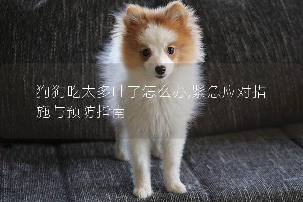 狗狗吃太多吐了怎么办,紧急应对措施与预防指南
