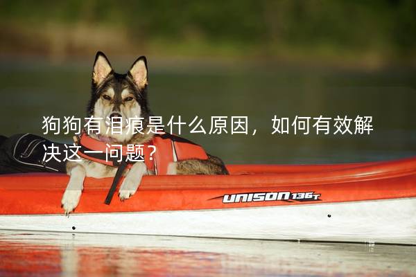 狗狗有泪痕是什么原因，如何有效解决这一问题？