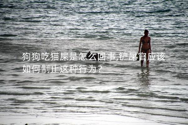 狗狗吃猫屎是怎么回事,铲屎官应该如何制止这种行为？