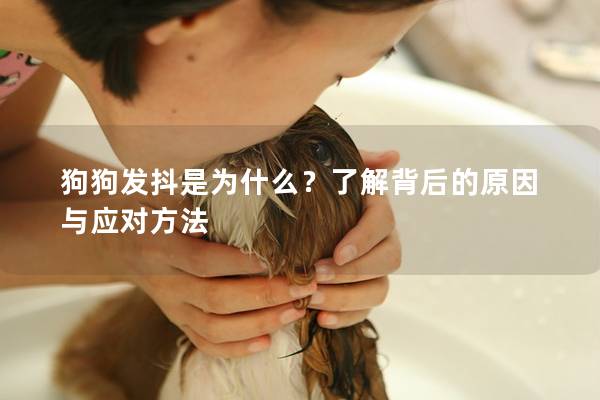 狗狗发抖是为什么？了解背后的原因与应对方法