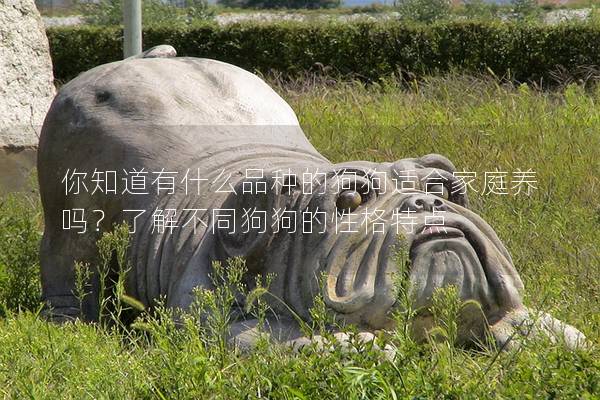 你知道有什么品种的狗狗适合家庭养吗？了解不同狗狗的性格特点