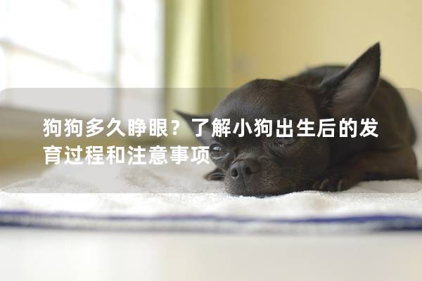 狗狗多久睁眼？了解小狗出生后的发育过程和注意事项
