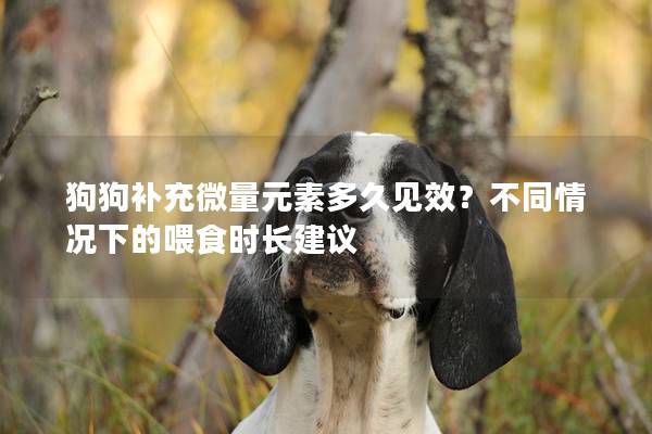 狗狗补充微量元素多久见效？不同情况下的喂食时长建议