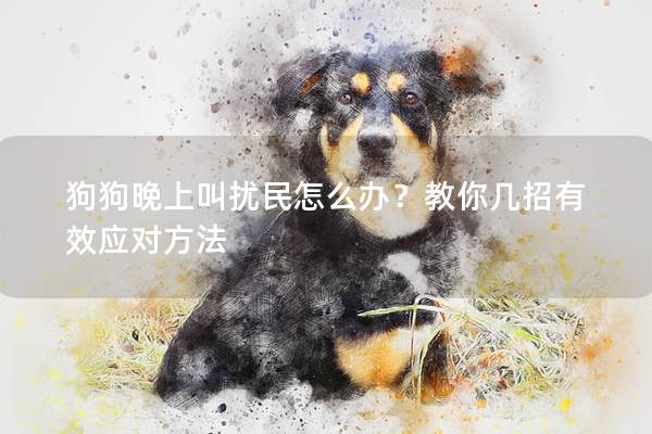 狗狗晚上叫扰民怎么办？教你几招有效应对方法