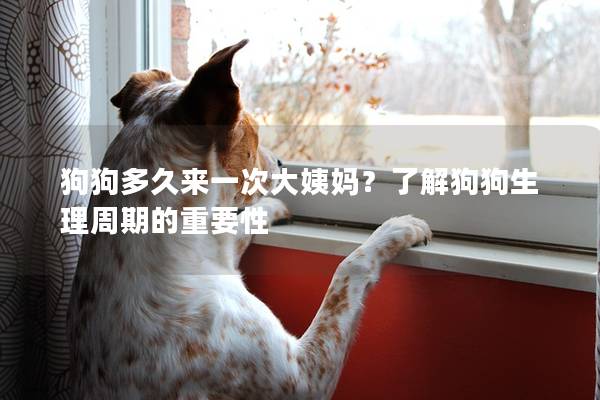 狗狗多久来一次大姨妈？了解狗狗生理周期的重要性
