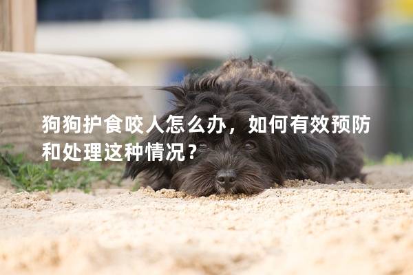 狗狗护食咬人怎么办，如何有效预防和处理这种情况？