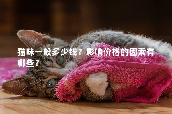 猫咪一般多少钱？影响价格的因素有哪些？