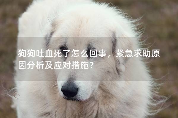狗狗吐血死了怎么回事，紧急求助原因分析及应对措施？