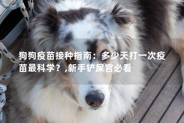 狗狗疫苗接种指南：多少天打一次疫苗最科学？,新手铲屎官必看