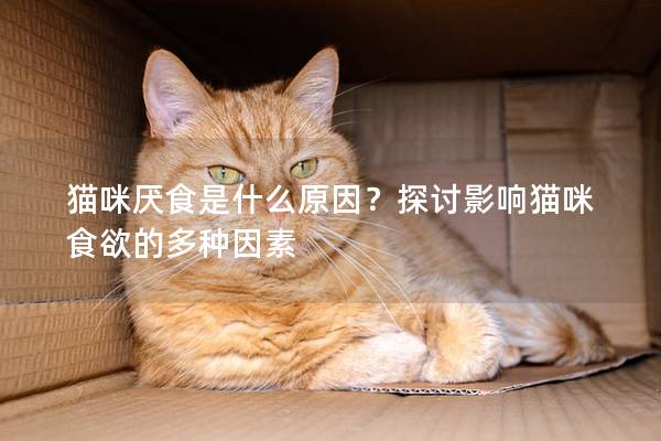 猫咪厌食是什么原因？探讨影响猫咪食欲的多种因素