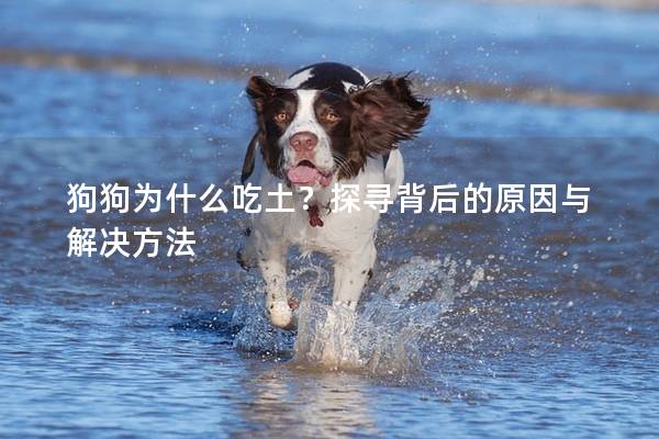 狗狗为什么吃土？探寻背后的原因与解决方法