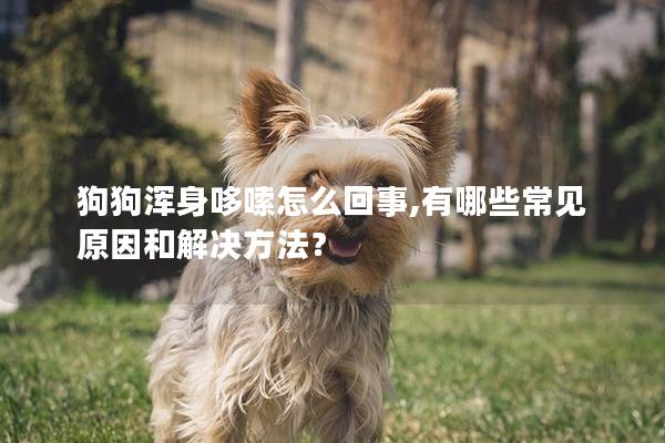 狗狗浑身哆嗦怎么回事,有哪些常见原因和解决方法？