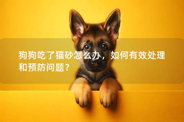 狗狗吃了猫砂怎么办，如何有效处理和预防问题？